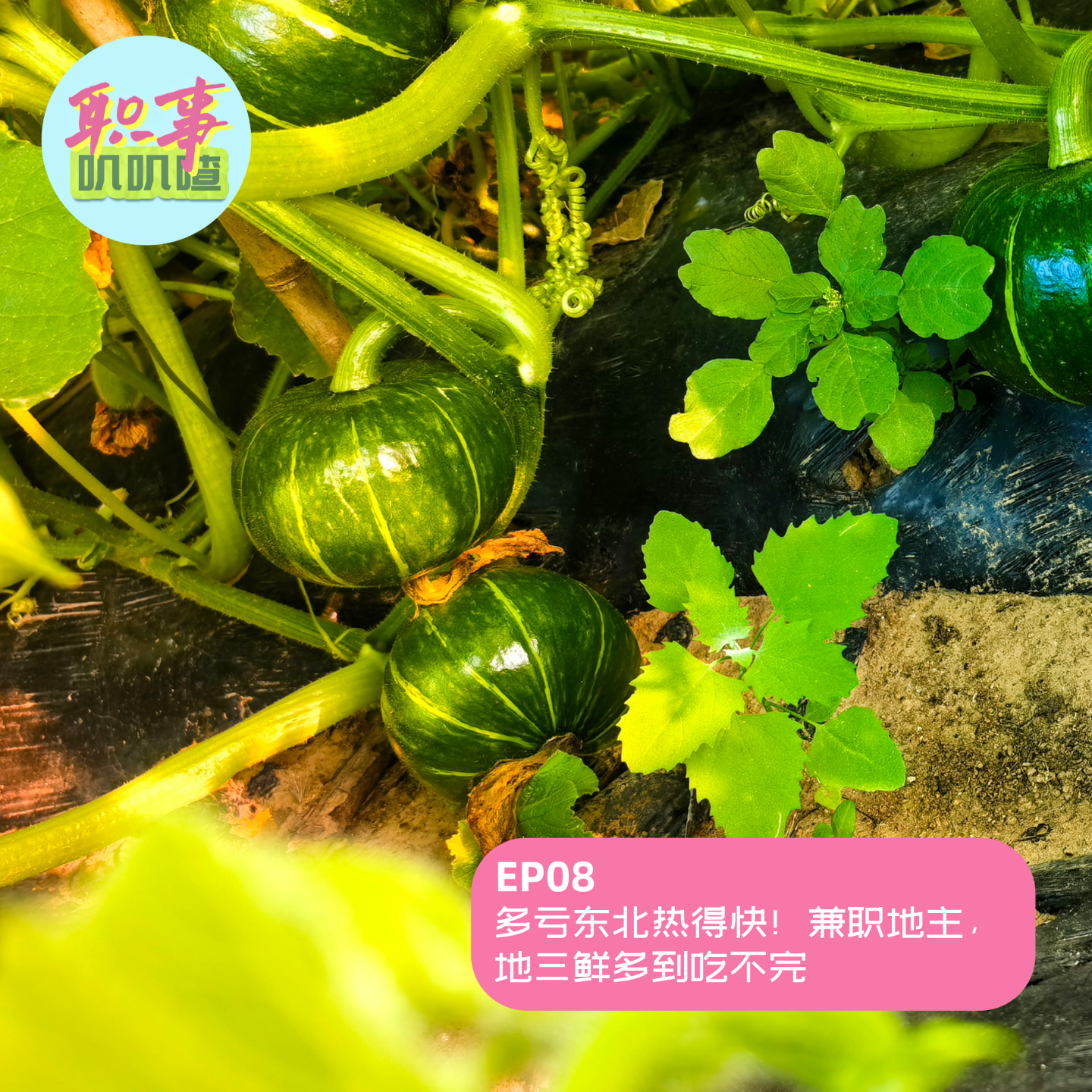 EP08. 多亏东北热得快！兼职地主，地三鲜多到吃不完 episode artwork