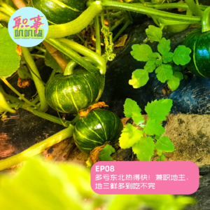 EP08. 多亏东北热得快！兼职地主，地三鲜多到吃不完