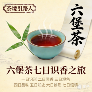 六堡茶年份之魅:新老茶对比