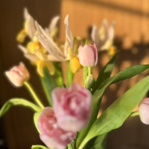 Vol 2 俗女养成记1.0: 如果我们没有结婚