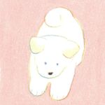 鱼鱼_BK62
