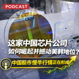 ep.16 中国股市慢牛行情正在形成！中国芯片公司崛起撼动欧美行业地位！比亚迪东方不亮西方亮