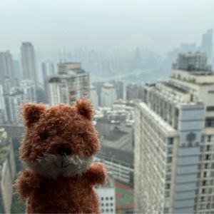 是小狐狸的播客呀