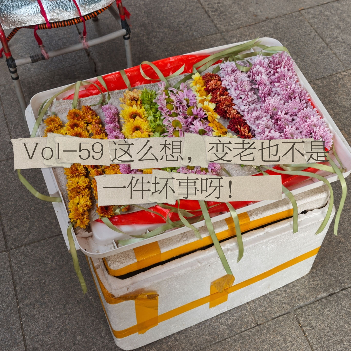 Vol 59-30+未婚未育,我为独自养老做的具体小事 Episode cover
