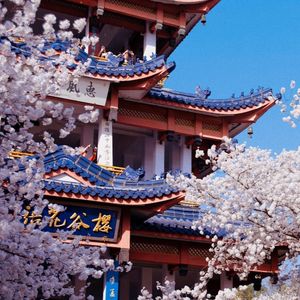 如何引导孩子爱上学习