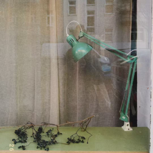 Vol.2 柏林时刻 | 在“汉斯”家附近聊《凯罗斯》中的爱欲、暴力与城市历史