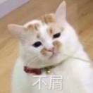 我和撒旦飞行棋