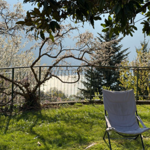 EP7: 为了春天，为了友谊