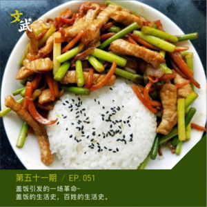 EP051 盖饭的灵魂,就是白饭上的那抹浇头儿~盖饭的文化史,百姓的生活史