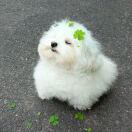 为老公哐哐撞大墙