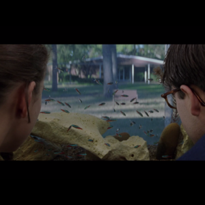 电影失去了欲望 XXIV 青春年少