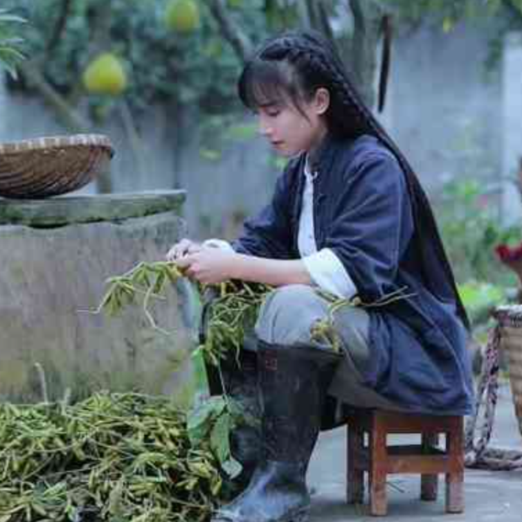 EP19 时隔三年，李子柒又回来了 episode artwork