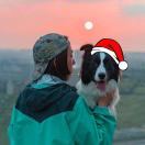 密涅瓦的小号鸟