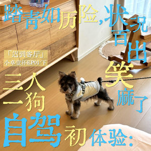 EP01(下)三人一狗自驾初体验!老天我真没招了,淡淡的就会顺顺的
