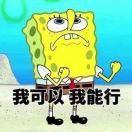 阿七的日常