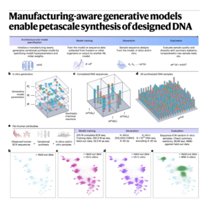 758-可规模化DNA合成的制造感知生成模型
