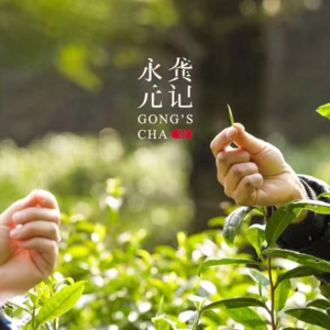 茶只是借口|春茶追早,谈谈背后人性的需求