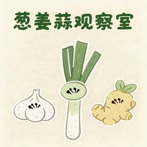 葱姜蒜观察室
