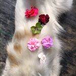 Mia_GrZz