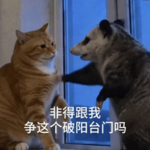 vol 25 走进科学之👊钱去哪儿了？👻