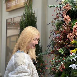 跳痛向日葵