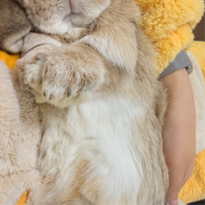 真正的喜欢是给足自由而不是希望你好 📅 Dec.11