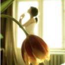 蕾斯ling