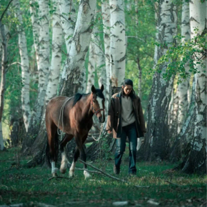 No.015-刷完《我的阿勒泰》，好像明白了一个人的魅力究竟来自于哪里？