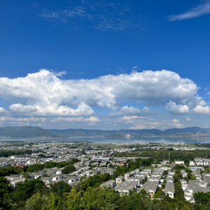 大模型如何从通才炼成领域专才