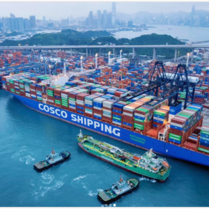 50%硬核分红纪律！动荡市场背景下中远海控实现EBIT利润450.13亿展现超强韧性！