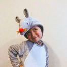 不是猫头鹰的鱼