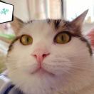 我叫大火火焱焱