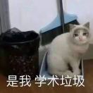 动画片十级爱好者