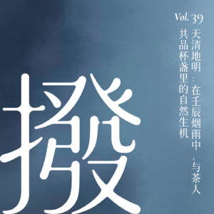 Vol.39 天清地明:在壬辰烟雨中,与茶人共品杯盏里的自然生机