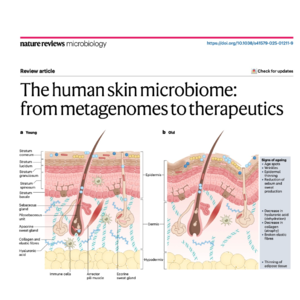 445-The Human Skin Microbiome: Metagenomes to Therapeutics