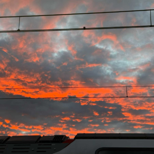 Vol.095 还在靠感觉找对象？三个“狠人级”理性法则，让你告别低效恋爱