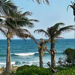 睡醒再吃一把巴旦木