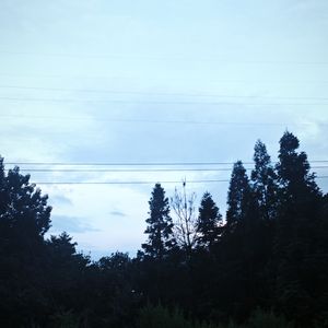 podcaster-avatar