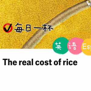 【349】种植水稻的真实成本
