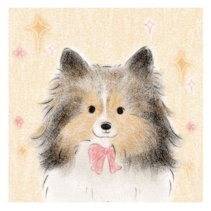 podcaster-avatar