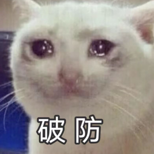 【一来一往04】聊聊火到对岸的网络meme