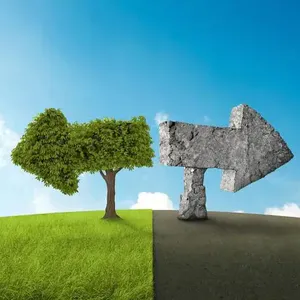 文件解读：上海市生活垃圾焚烧飞灰回炉减量污染控制技术指南