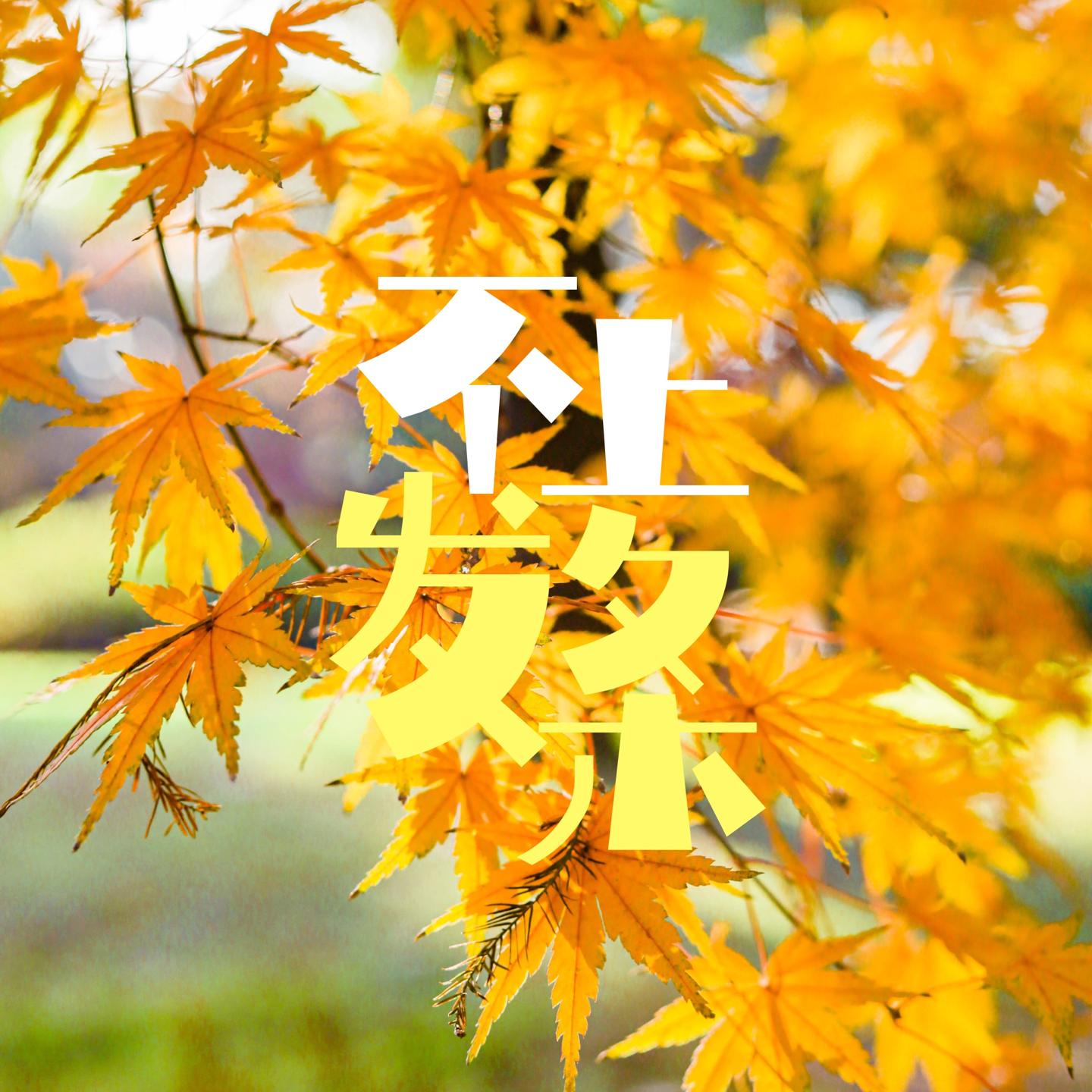 cover of episode E13. 在宁静、阳光好的冬日里，活出喜悦