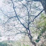 你在说什么我听不到