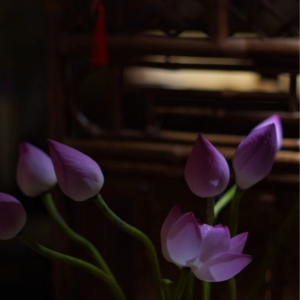 Vol.9 食伤生财:以自己喜欢的事物出发求财