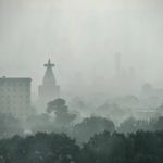 书虫胖7