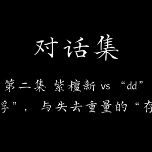 "现代人的漂浮是一种失去重量的存在"——从生命的巨大意外到深度疗愈之路【对话集 EP.2 vs "dd"】