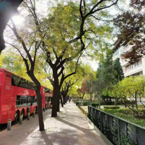 74、黄金的史诗级大牛市，何时买，买多少？