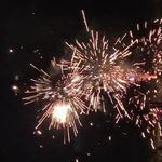 出走的芋圆