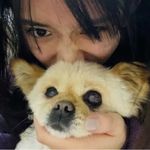 今天真的早睡早起